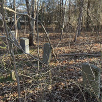 Ica Matthews Family Gallery